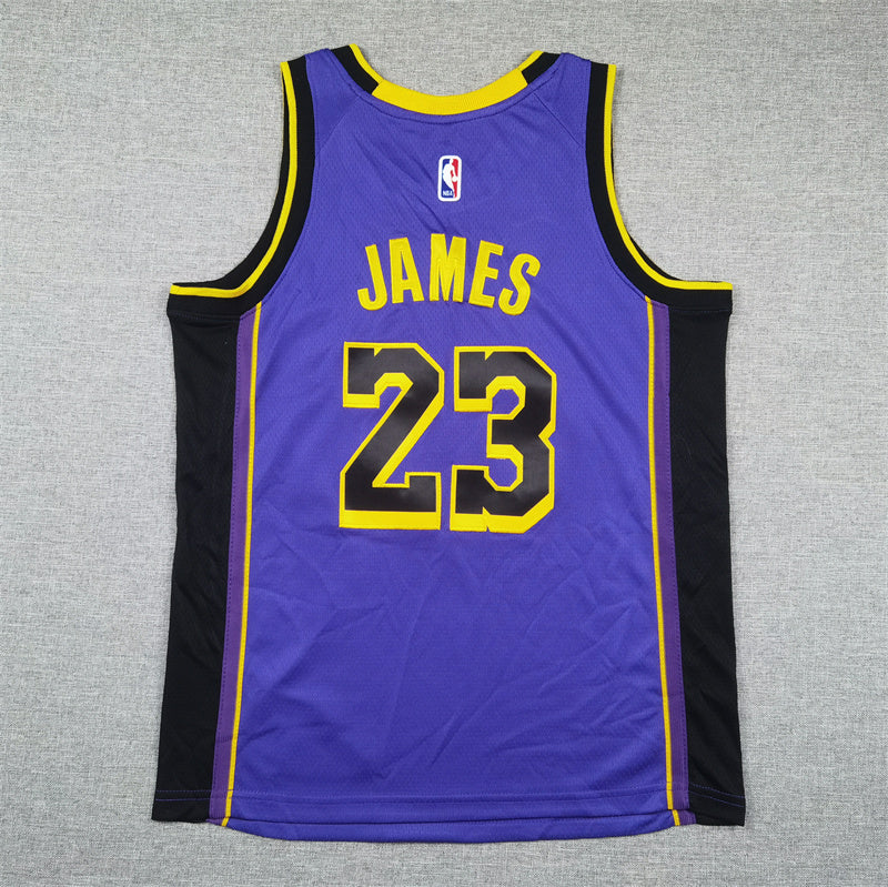 Youth LeBron James Los Angeles Lakers #23  Embroidered  Jersey