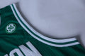 Men's Boston Celtics Gordon Hayward #20 NBA Green Replica Jersey