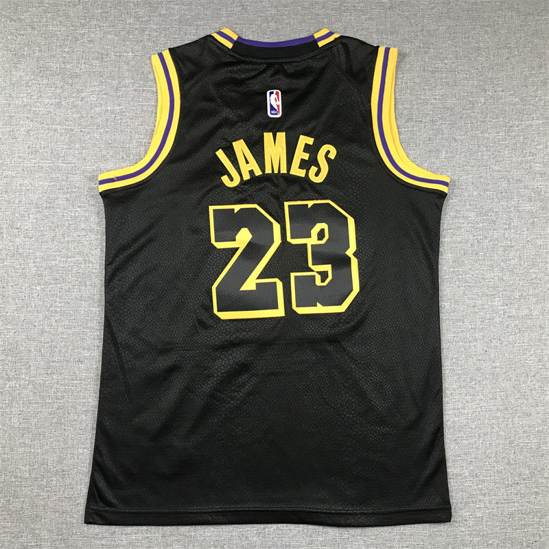 Youth LeBron James Los Angeles Lakers #23 City Edition Embroidered  Jersey