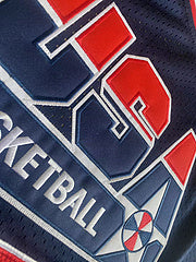 Dream Team Jordan BLUE 9 MN