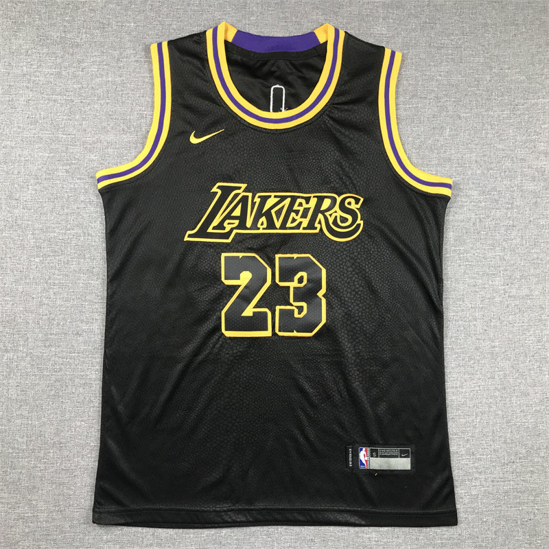 Youth LeBron James Los Angeles Lakers #23 City Edition Embroidered  Jersey