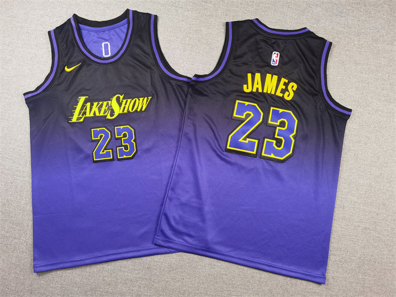 Youth LeBron James Los Angeles Lakers #23 City Edition Embroidered  Jersey