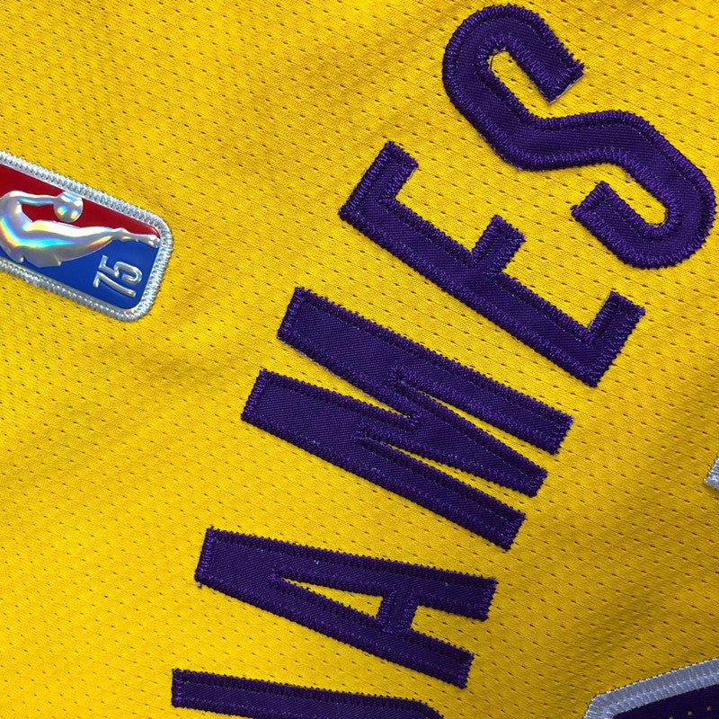 LeBron James Los Angeles Lakers  Yellow 23 MN
