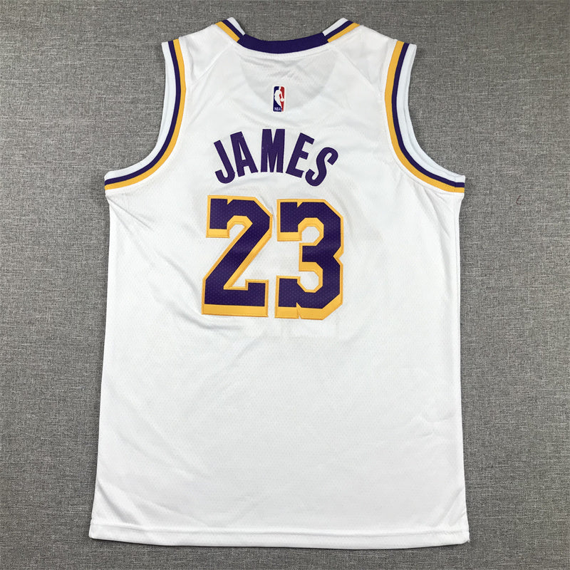 Youth LeBron James Los Angeles Lakers #23  Embroidered  Jersey