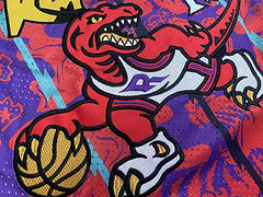 Vince Carter Toronto Raptors Purple 15 MN
