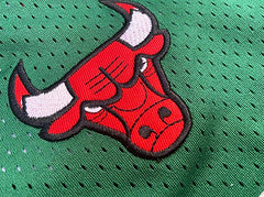Michael Jordan Chicago Bulls 23 Green MN