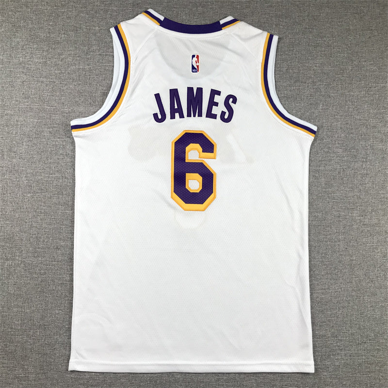 Youth LeBron James Los Angeles Lakers #6  Embroidered  Jersey