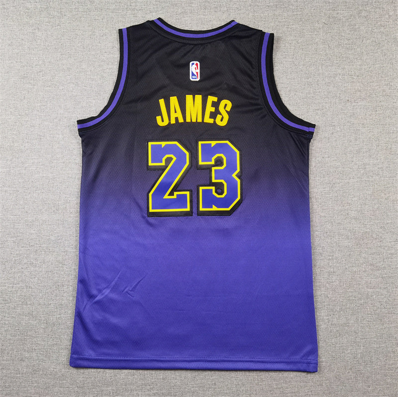 Youth LeBron James Los Angeles Lakers #23 City Edition Embroidered  Jersey