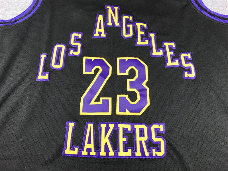 LeBron James #23 Los Angeles Lakers 2024 City Edition Swingman Jersey — Embroidered