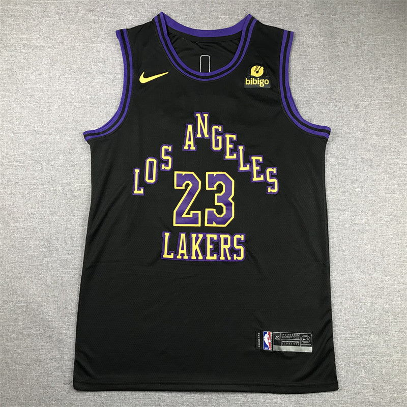 LeBron James #23 Los Angeles Lakers 2024 City Edition Swingman Jersey — Embroidered