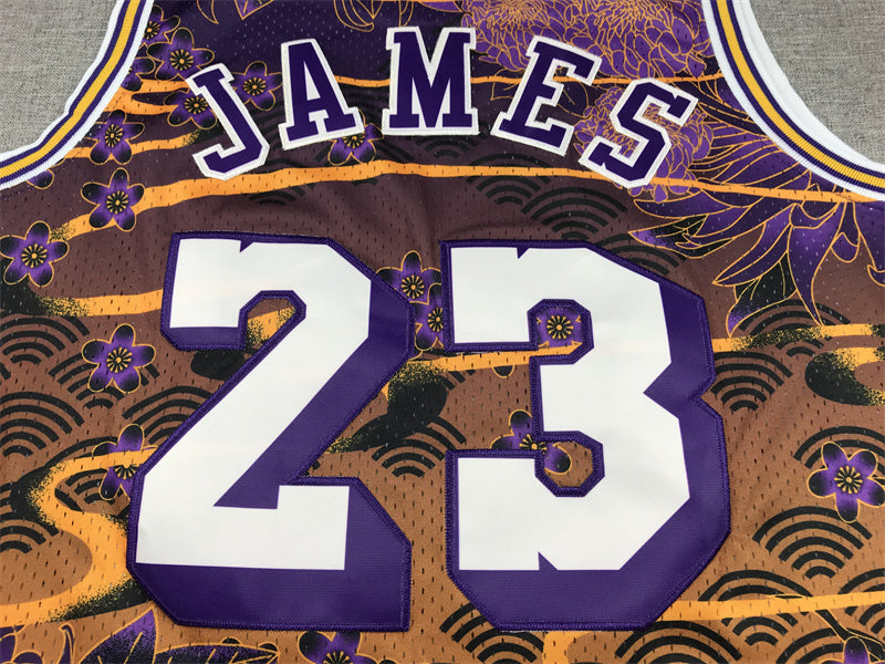 LeBron James #23 Los Angeles Lakers "Year of the Rabbit" 2018-19 Throwback Jersey — Embroidered