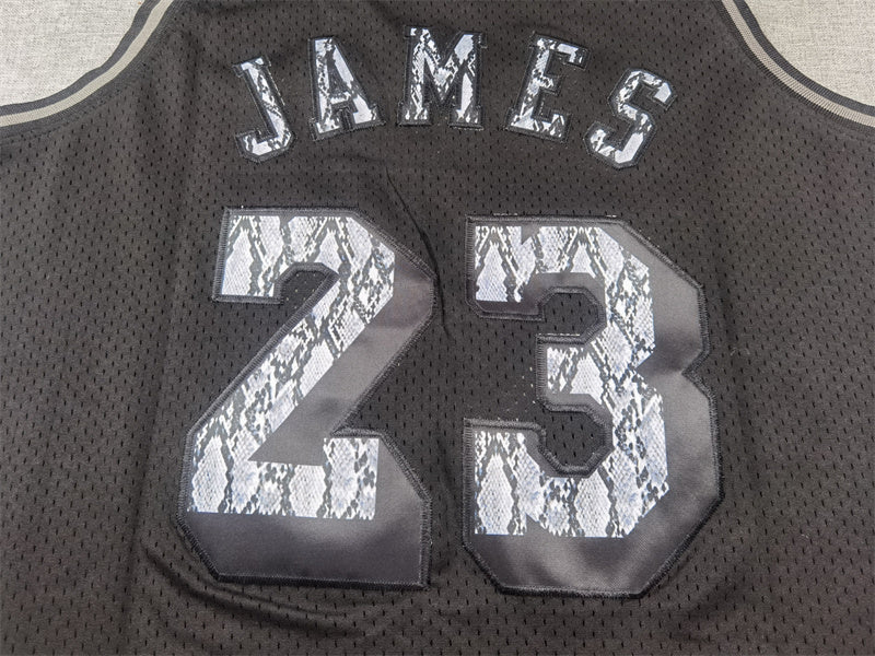 LeBron James #23 Los Angeles Lakers 2018-19 Throwback Jersey — Embroidered