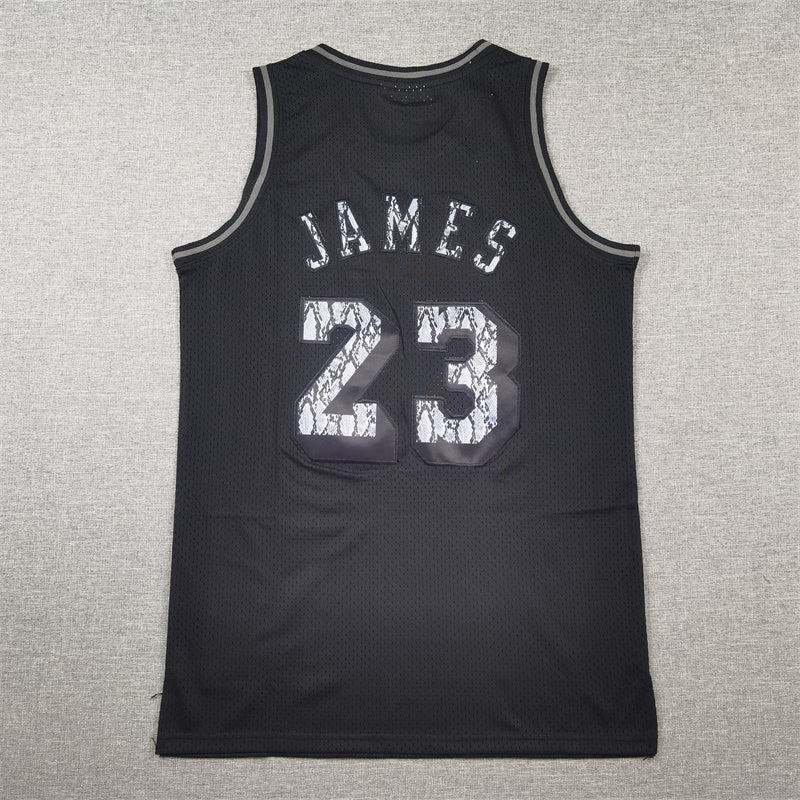LeBron James #23 Los Angeles Lakers 2018-19 Throwback Jersey — Embroidered