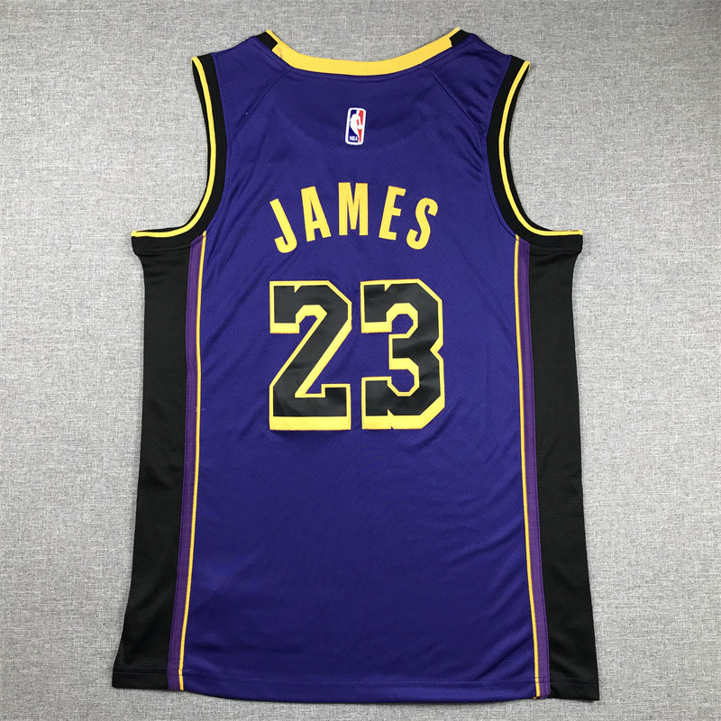 LeBron James #23 Los Angeles Lakers "Declaration" City Edition Swingman Jersey — Embroidered