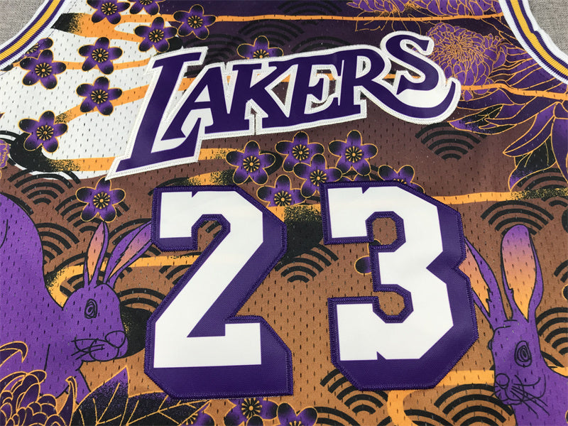 LeBron James #23 Los Angeles Lakers "Year of the Rabbit" 2018-19 Throwback Jersey — Embroidered
