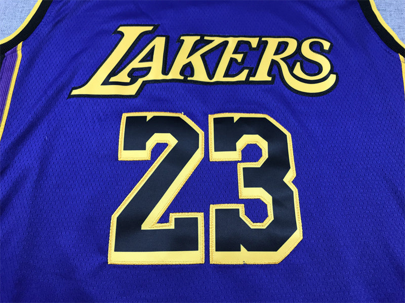 LeBron James #23 Los Angeles Lakers "Declaration" City Edition Swingman Jersey — Embroidered
