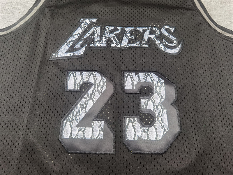 LeBron James #23 Los Angeles Lakers 2018-19 Throwback Jersey — Embroidered