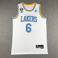Lebron James  #6 Los Angeles Lakers 2023 City Edition Swingman Jersey - Embroidered