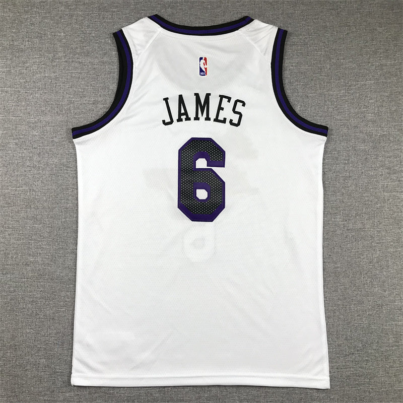 Youth LeBron James Los Angeles Lakers #6 City Edition Embroidered  Jersey