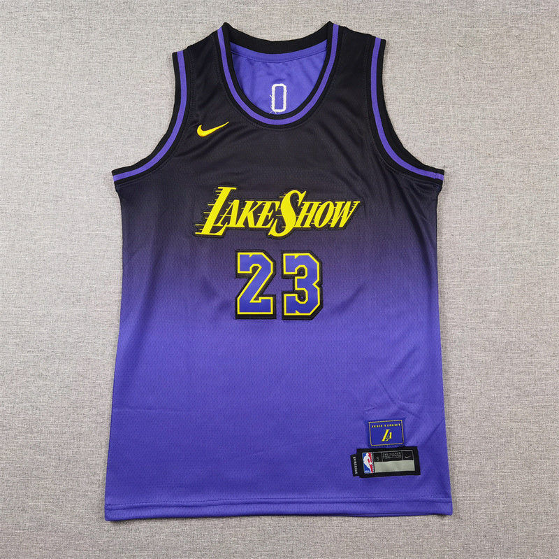 Youth LeBron James Los Angeles Lakers #23 City Edition Embroidered  Jersey