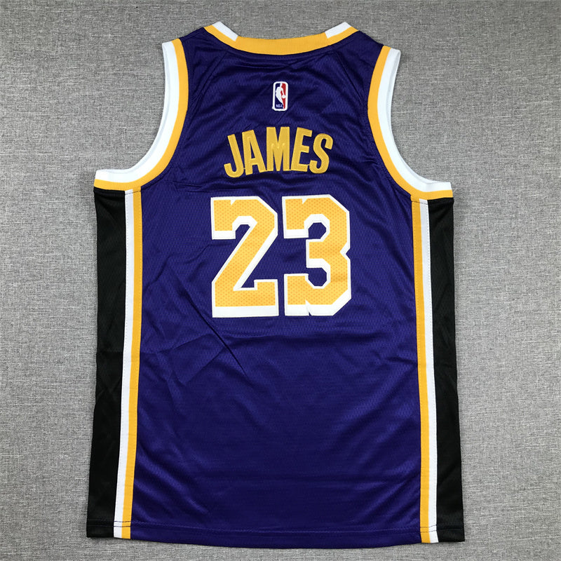Youth LeBron James Los Angeles Lakers #23  Embroidered  Jersey