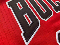 Michael Jordan Chicago Bulls 23 Red MN