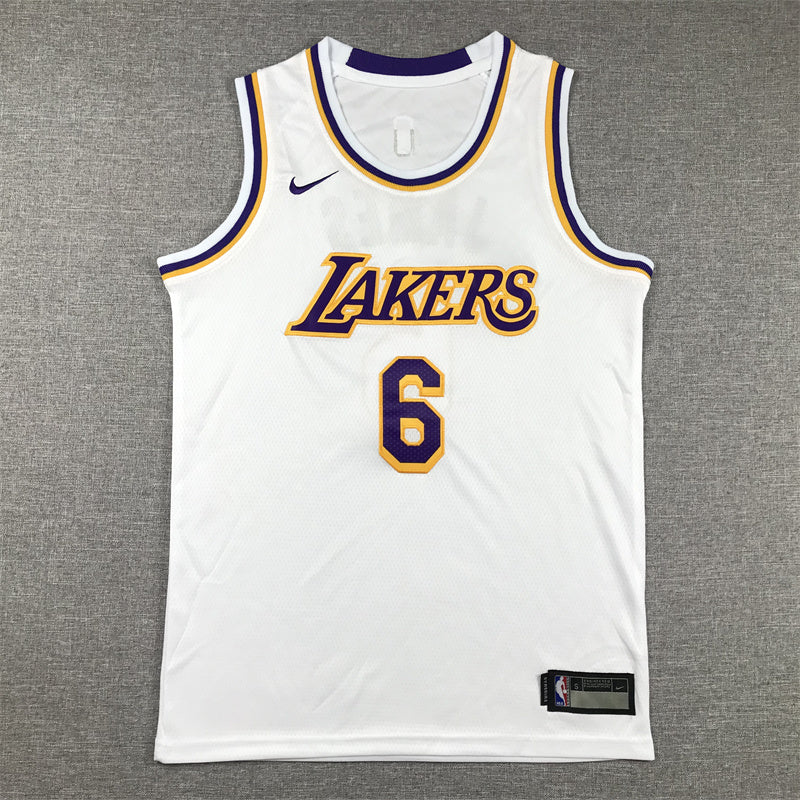 Youth LeBron James Los Angeles Lakers #6  Embroidered  Jersey