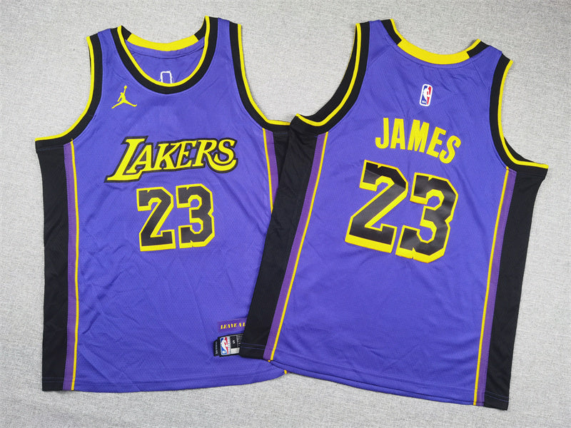 Youth LeBron James Los Angeles Lakers #23  Embroidered  Jersey