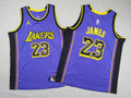 Youth LeBron James Los Angeles Lakers #23  Embroidered  Jersey