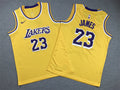 Youth LeBron James Los Angeles Lakers #23  Embroidered  Jersey