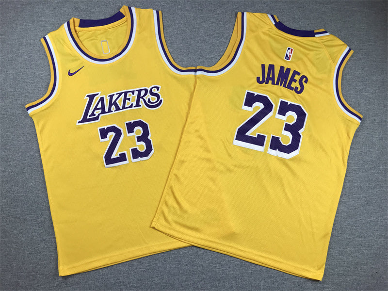 Youth LeBron James Los Angeles Lakers #23  Embroidered  Jersey