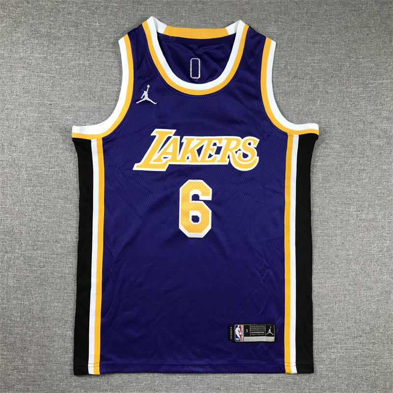 Youth LeBron James Los Angeles Lakers #6  Embroidered  Jersey