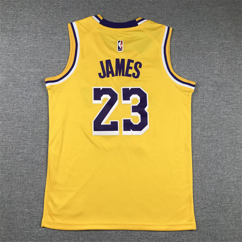 Youth LeBron James Los Angeles Lakers #23  Embroidered  Jersey