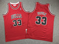 Youth Scottie Pippen Chicago Bulls #33 Embroidered Jersey