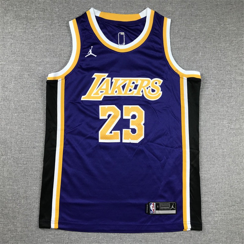 Youth LeBron James Los Angeles Lakers #23  Embroidered  Jersey
