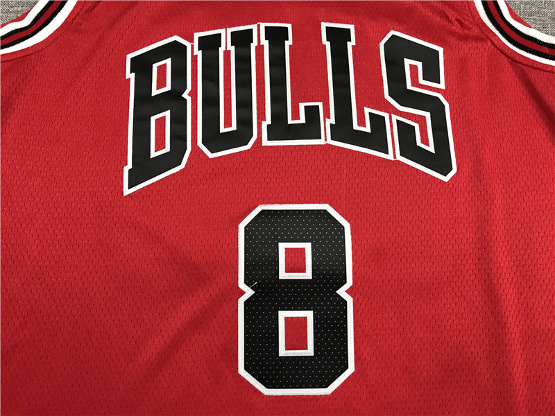 Chicago Bulls Zach LaVine #8 City Edition Swingman Jersey – Embroidered