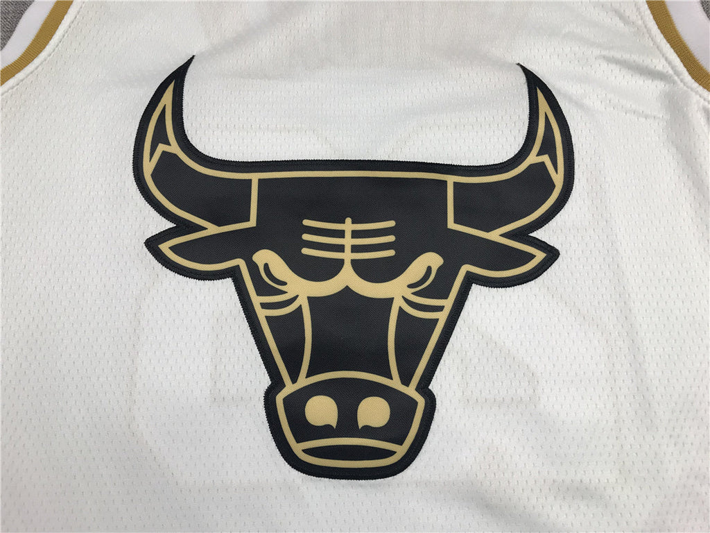 Chicago Bulls Michael Jordan #23 "Platinum" City Edition Swingman Jersey – Embroidered