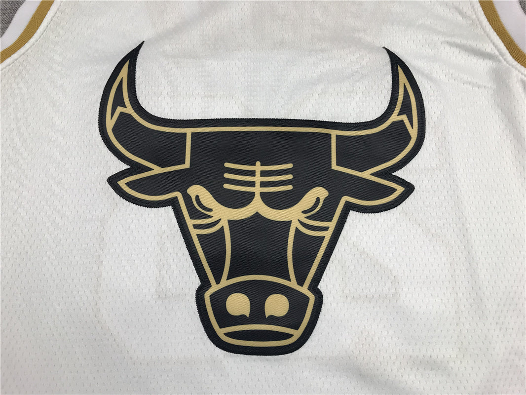 Chicago Bulls Michael Jordan #23 "Platinum" City Edition Swingman Jersey – Embroidered