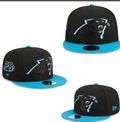 Carolina Panthers hat