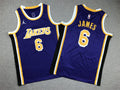 Youth LeBron James Los Angeles Lakers #6  Embroidered  Jersey