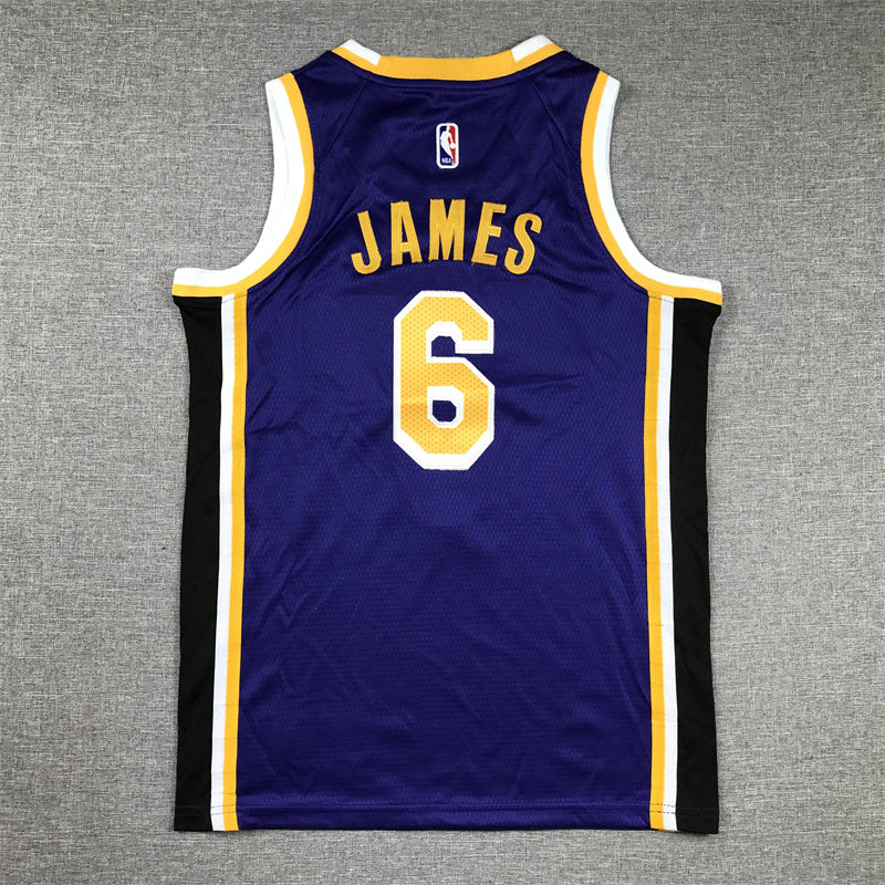 Youth LeBron James Los Angeles Lakers #6  Embroidered  Jersey