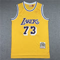 Dennis Rodman #73 Los Angeles Lakers 1998-99 Throwback Embroidered Jersey