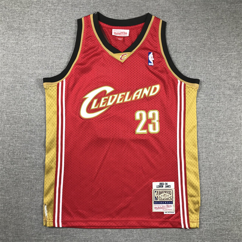 Youth LeBron James Cleveland Cavaliers #23 Embroidered  Jersey