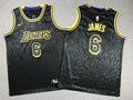 Youth LeBron James Los Angeles Lakers #6 City Edition Black Mamba Embroidered  Jersey