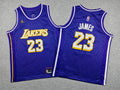 Youth LeBron James Los Angeles Lakers #23 Statement Edition Embroidered  Jersey
