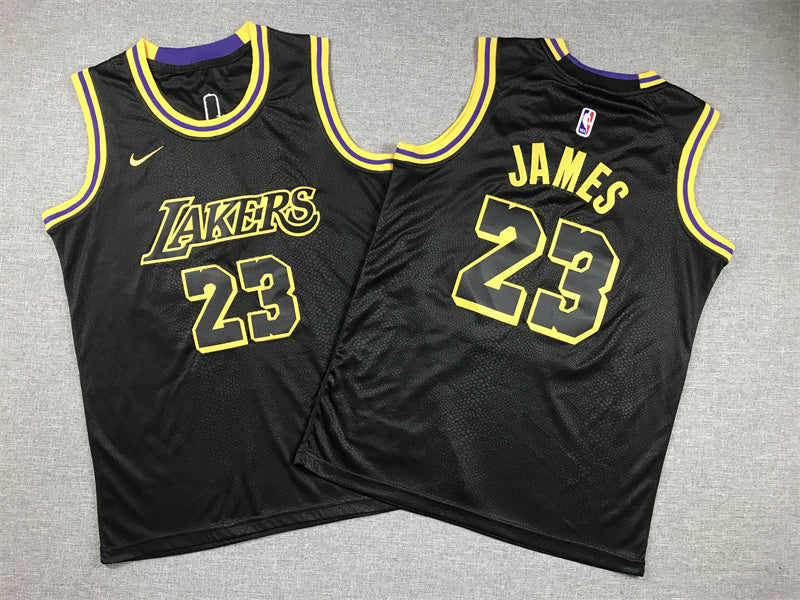Youth LeBron James Los Angeles Lakers #23 City Edition Embroidered  Jersey