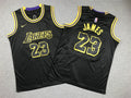Youth LeBron James Los Angeles Lakers #23 City Edition Embroidered  Jersey