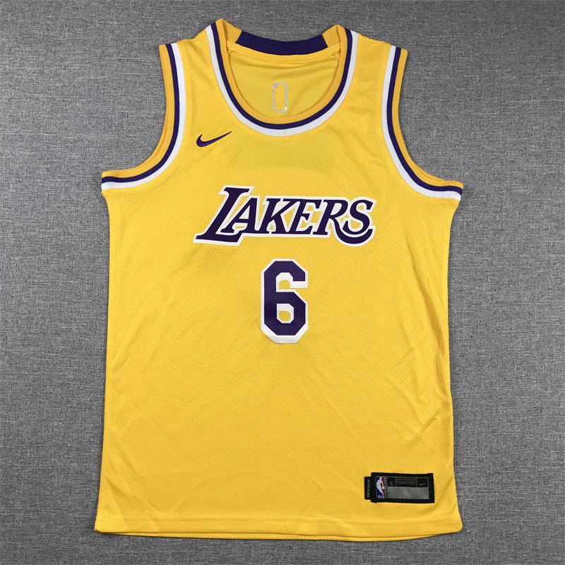 Youth LeBron James Los Angeles Lakers #6   Embroidered  Jersey