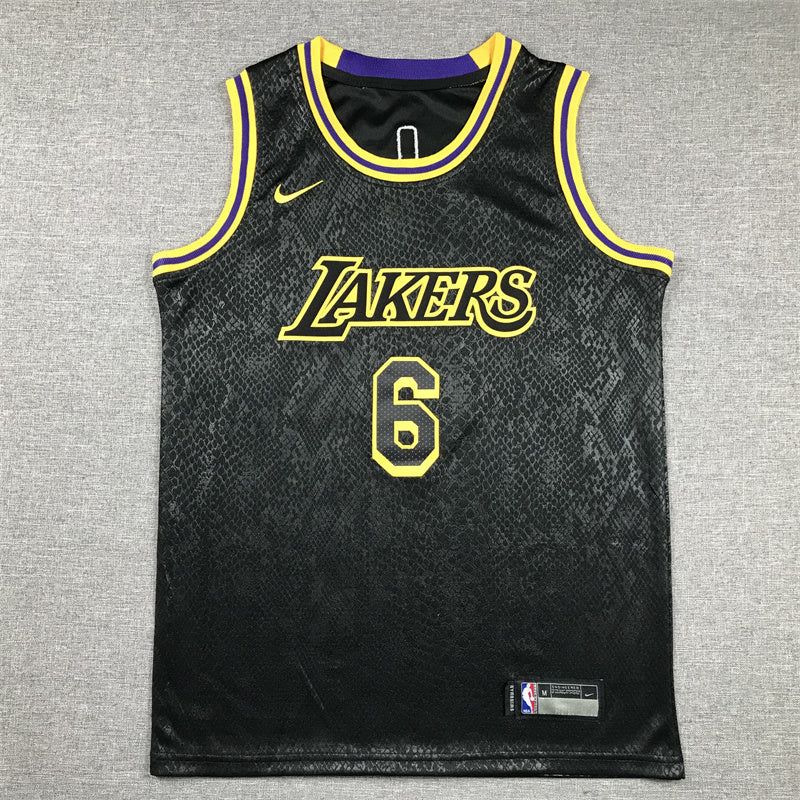 Youth LeBron James Los Angeles Lakers #6 City Edition Black Mamba Embroidered  Jersey