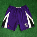 2014 Sacramento Kings NBA Pro Cut Game Worn Shorts